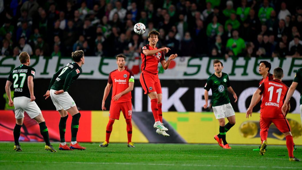 领域发光发 领域发光发