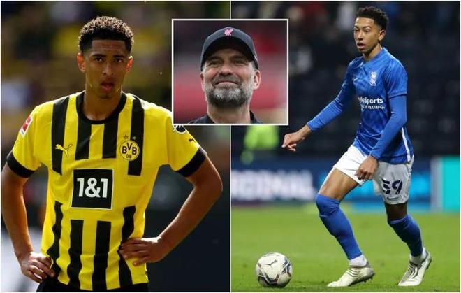 回归正在外 回归正在外