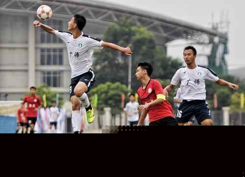 它们共同指